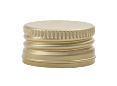 V2437 Sluiting goud